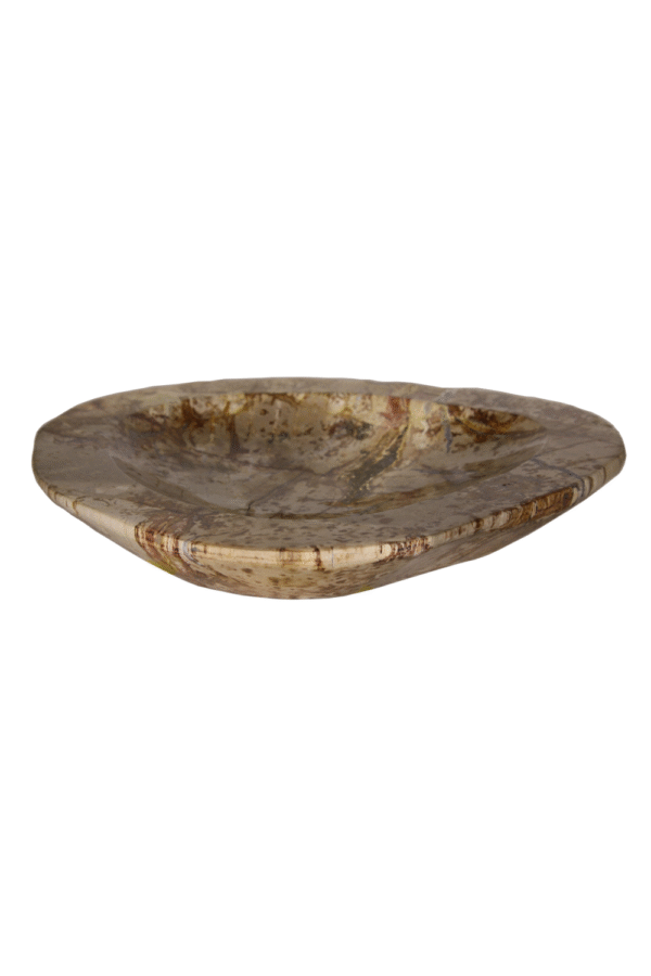 Natural Petrified Wood Tray | Andrew Martin
